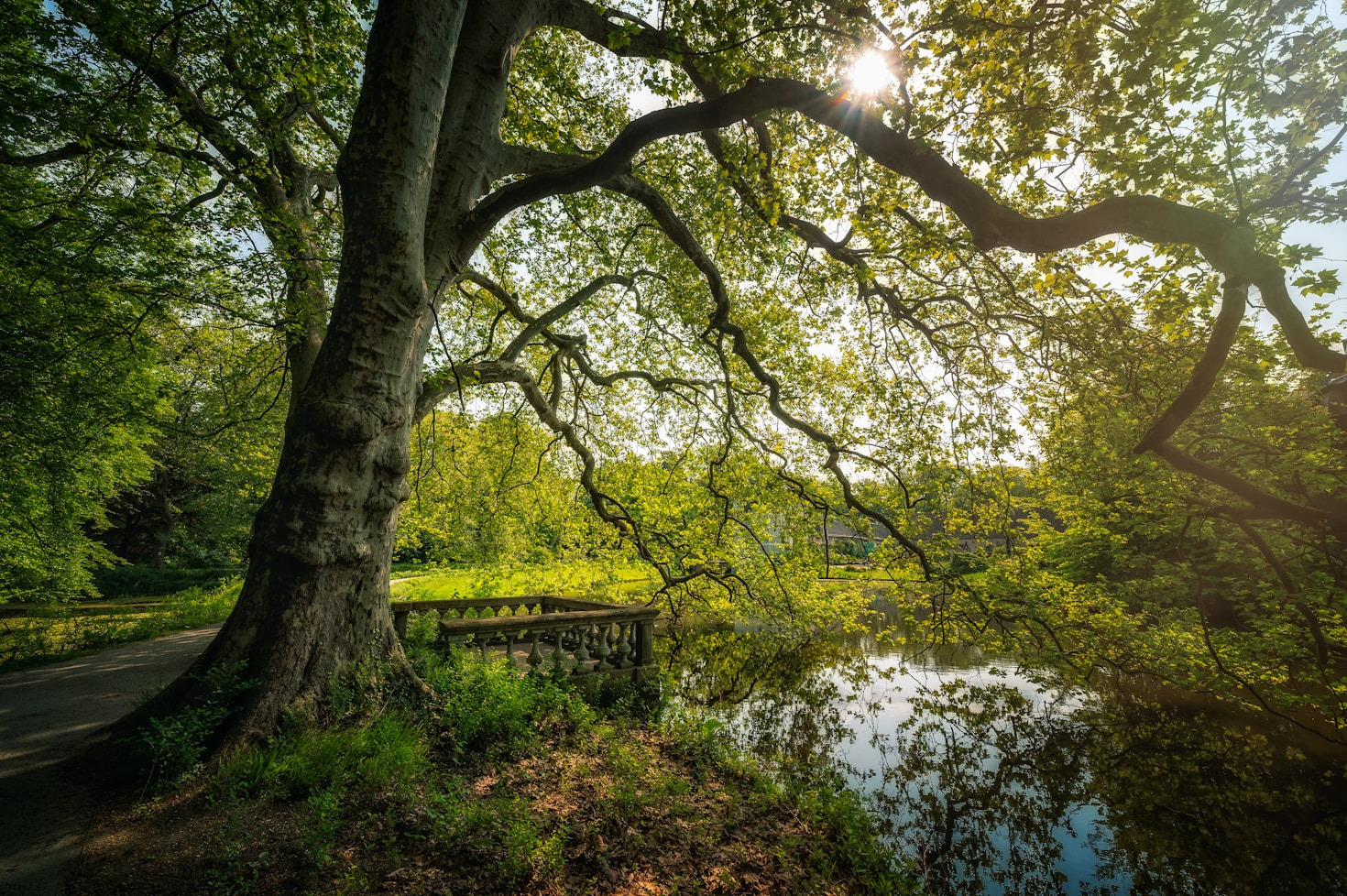 5 Ways to Connect with Nature’s Mystical Side