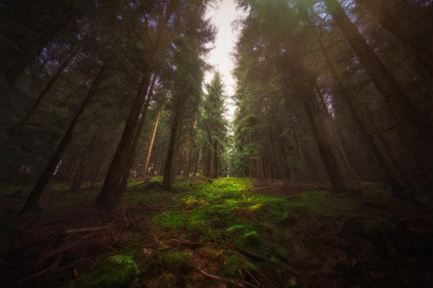 Exploring the Arcane Mysteries of the Natural World
