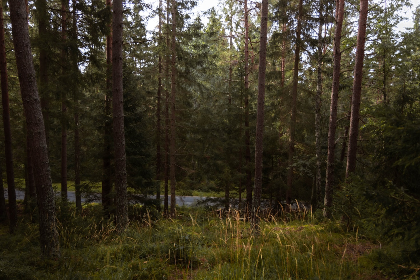 How to Embrace the Magic of the Earth